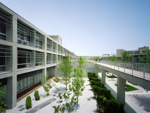 thumb21-610x459.jpg